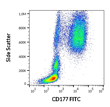 Staining of human peripheral blood granulocytes with Mouse anti Human CD177:FITC (GTX75710)