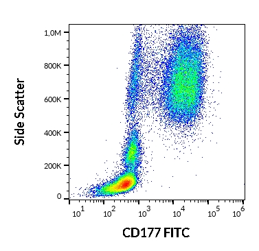 FACS analysis of human peripheral blood using GTX75710 CD177 antibody [MEM-166] (FITC). Antibody amount : 20 μl reagent / 100 μl of peripheral whole blood