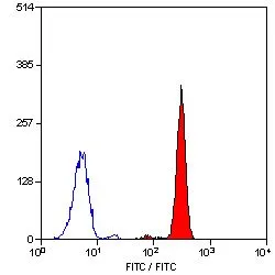 FACS analysis of human peripheral blood granulocytes using GTX75734 C5a R1 antibody [P12/1] (FITC).