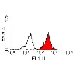 FACS analysis of human peripheral blood lymphocytes using GTX75806 HLA-A2 antibody [BB7.2] (Low endotoxin,azide free).