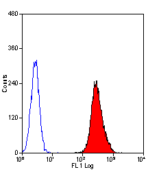 Staining of rat CD152 transfected cell line using Mouse anti Rat CD152 following permeabilisation with Leucoperm