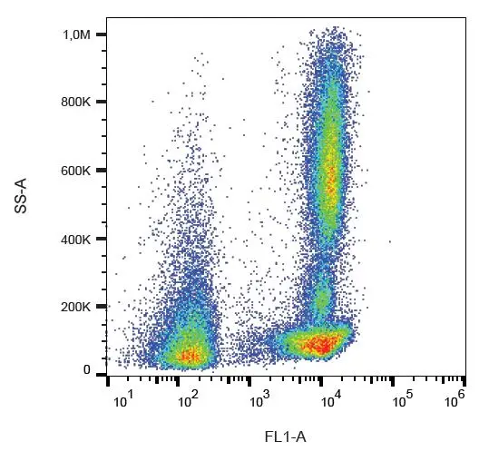 FACS analysis of human peripheral blood using GTX75834 CD46 antibody [MEM-258] (FITC).