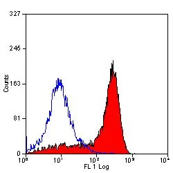 IHC-Fr analysis of rat lymph node tissue using GTX76058 CD11b antibody [OX-42] (Low endotoxin,azide free).