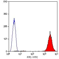 FACS analysis of human peripheral blood platelets using GTX76183 CD9 antibody [MM2/57] (FITC).