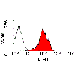 Staining of rat spleen cells with Mouse anti Rat MHC Class I (RT1A) Monomorphic: FITC (GTX76263)