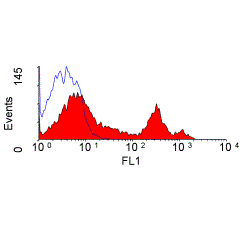 Staining of rat splenocytes with Mouse anti Rat CD43: FITC (GTX76286)