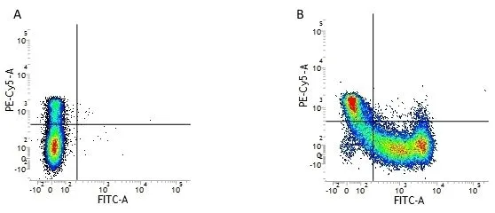 Figure A. PE-Cy5 conjugated mouse anti human CD45RO (GTX76156) and FITC conjugated Mouse IgG1 isotype control (GTX76638).
