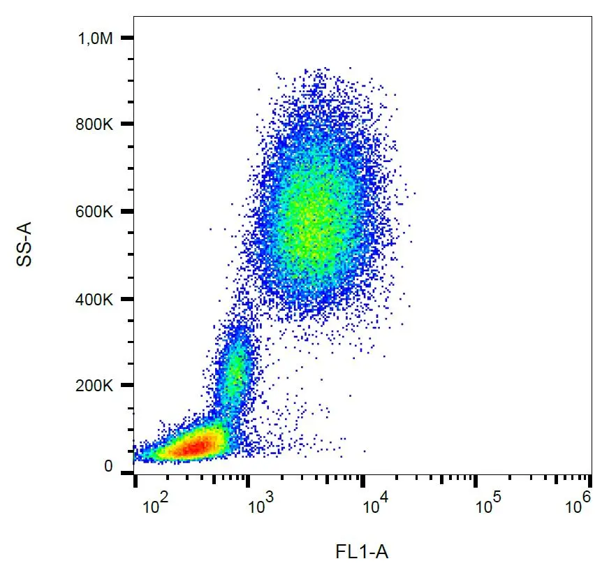 FACS analysis of human peripheral blood using GTX78263 CD10 antibody [MEM-78] (FITC).