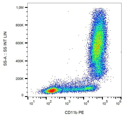 Immunoprecipitation of human CD11b/CD18 heterodimer from the lysate of washed PBMC isolated from healthy donor. Lysate was subjected to affinity column chromatography using anti-human CD11b (GTX21046 )immunosorbent.