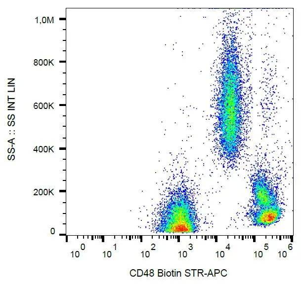 FACS analysis of human peripheral blood using GTX78301 CD48 antibody [MEM-102] (Biotin).