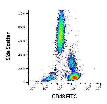 FACS analysis of human peripheral blood using GTX78302 CD48 antibody [MEM-102] (FITC). Antibody amount : 20 μl reagent / 100 μl of peripheral whole blood