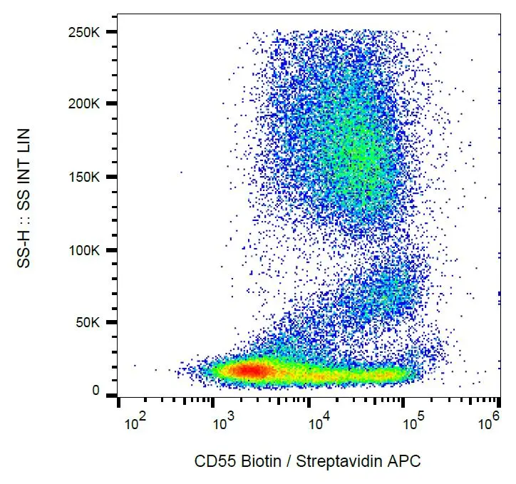 Surface staining of human peripheral blood leukocytes by mouse monoclonal anti-CD55 antibody MEM-118 (GTX21422).