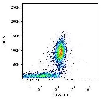 CD55 antibody [MEM-118] (FITC)