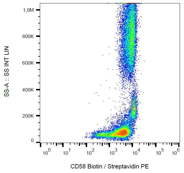 CD58 antibody [MEM-63] (Biotin)