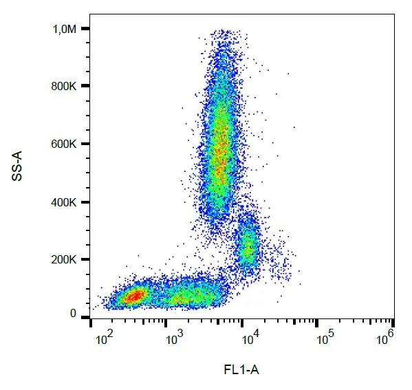 CD31 antibody [MEM-05] (FITC)