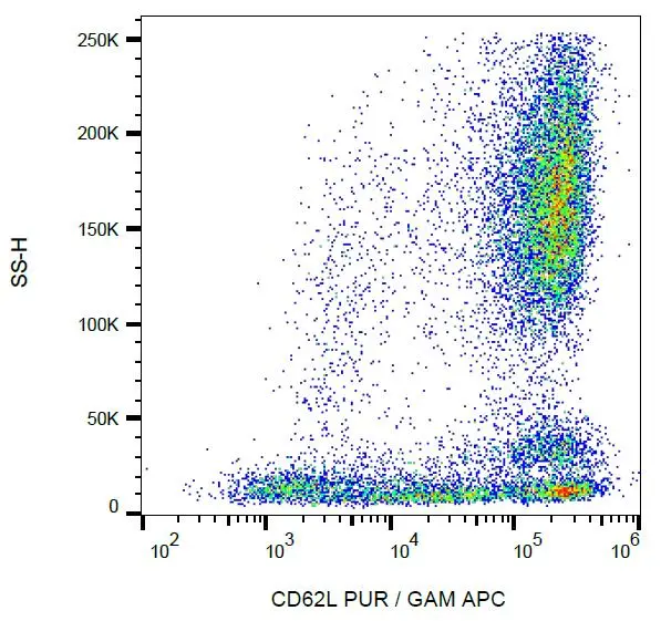 FACS analysis of human peripheral blood using GTX78399 CD62L antibody [LT-TD180].