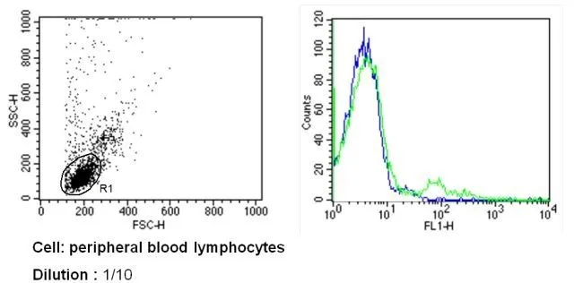 FACS analysis of PBMC cells using GTX79220 TCR V beta 8b antibody [MX-6] (FITC) compared to an isotype control (blue). Dilution : 1:10 incubated for 30 min at 4C
