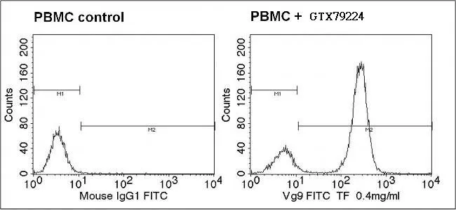 FACS analysis of IL2 stimmunlated human PBMCs using GTX79224 TCR V gamma 9 antibody [7A5] (FITC). Dilution : 5ul of primary antibody were used per test