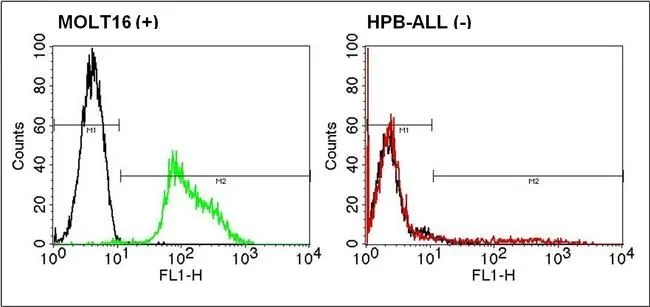 FACS analysis of positive MOLT16 cells (left panel) or negative control HPB-ALL cells (right panel) using GTX79225 TCR V alpha 2 antibody [F1] (FITC). Dilution : 5ul of primary antibody were used per test