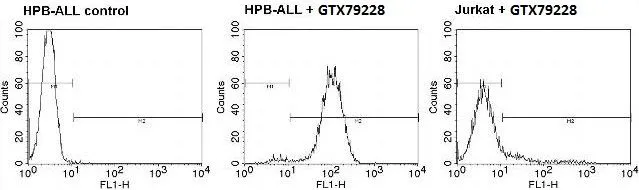 FACS analysis of positive HPB-ALL cells (left and middle panel) or negative control Jurkat cells (right panel) using GTX79228 TCR V beta 5b antibody [W112] (FITC). Dilution : 5ul of primary antibody were used per test