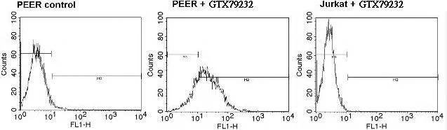 FACS analysis of positive PEER cells (left and middle panel) or negative control Jurkat cells (right panel) using GTX79232 TCR V delta 1 antibody [TS8.2]. Dilution : 5ul of primary antibody were used per test