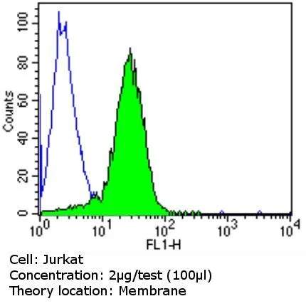 WB analysis of 25 ug of CEM cell lysates using GTX79233 TCR V gamma 9 antibody [7A5]. Dilution : 1:10