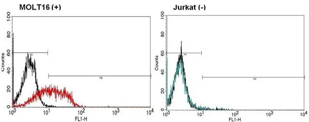 FACS analysis of positive MOLT16 cells (left) or negative control Jurkat cells (right panel) using GTX79234 TCR V alpha 2 antibody [F1]. Dilution : 5ul of primary antibody were used per test