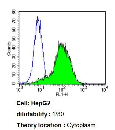 FACS analysis of HepG2 cells using GTX79463 CYP3A7 antibody [F19 P2 H2] compared to an isotype control (blue). Dilution : 1:80 for 60 min at room temperature Fixation : 2% paraformaldehyde
