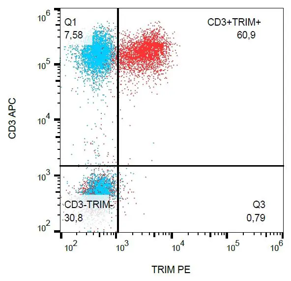 FACS (intracellular staining) analysis of human peripheral blood using GTX79872 TRIM antibody [TRIM-04] (PE).