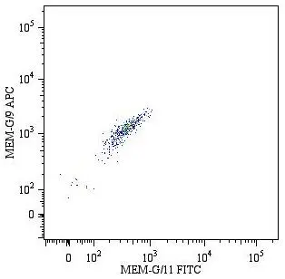 Immunofluorescence staining of HLA-G1 transfectants (LCL-HLA-G1) using anti-human HLA-G (MEM-G/9) Alexa Fluor&#174; 488 Fab-fragment.