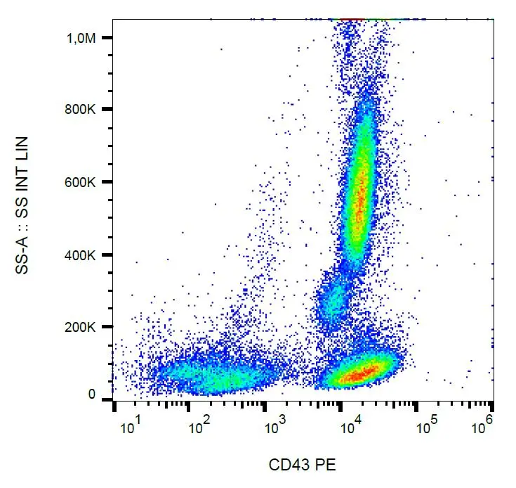 Immunohistochemistry staining of human spleen (paraffin sections) using anti-CD43 (MEM-59) (GTX29088).