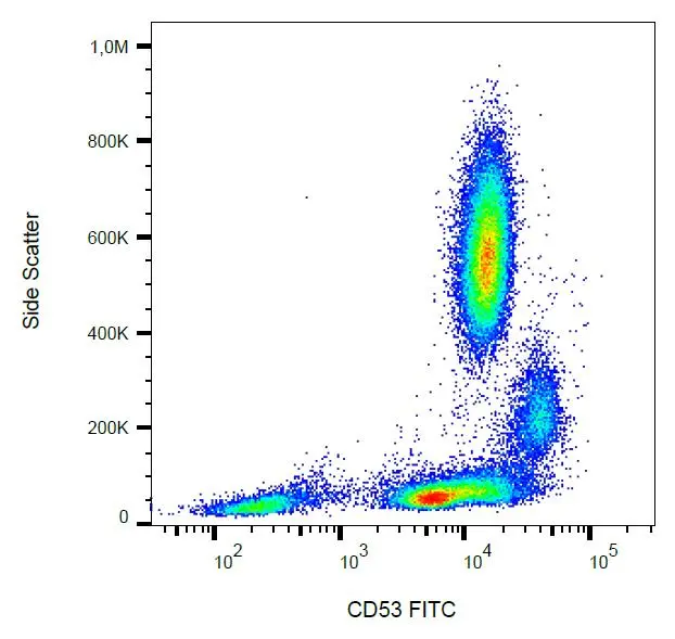 FACS analysis of human peripheral blood using GTX79940 CD53 antibody [MEM-53] (FITC).