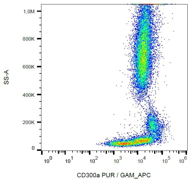 FACS analysis of human peripheral blood using GTX79960 CD300a antibody [MEM-260].