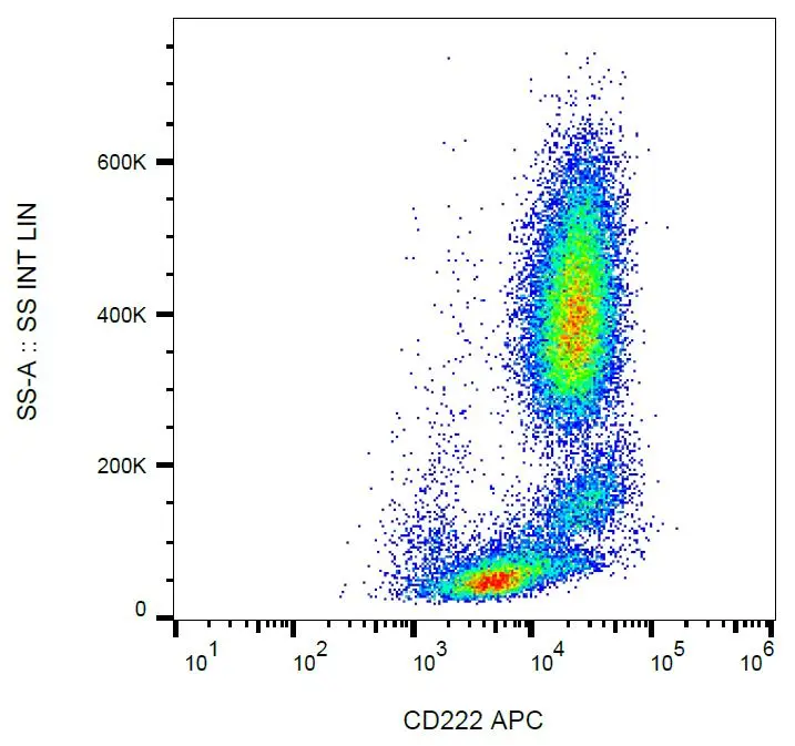 Western Blotting analysis (non-reducing conditions) of CD222 in whole cell lysate of JURKAT human peripheral blood T cell leukemia cell line. Lane 1: immunostaining with anti-CD222 (MEM-238). Lane 2: immunostaining with Isotype mouse IgG1 control (PPV-06)