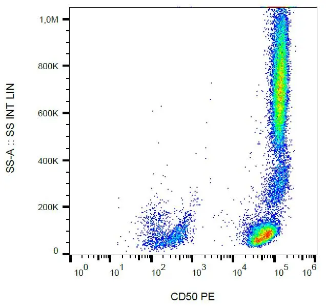 Surface staining of JURKAT human?eukemia T cell line with anti-human CD50 (MEM-171) FITC.