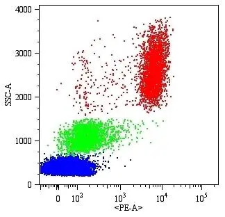 CD16 antibody [MEM-154] (PE)