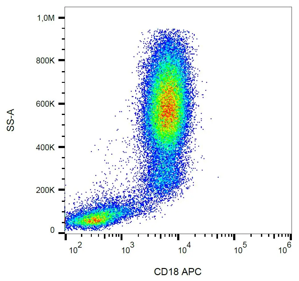 Western Blotting analysis of PMA-activated neutrophils (Fig. 1A) and monocytes (Fig. 1B),using anti-human CD18 (MEM-148). The antibody MEM-148 recognizes the lower 65 to 70 kDa zone (activation marker) as well as the upper 78 to 96 kDa zone (CD18).