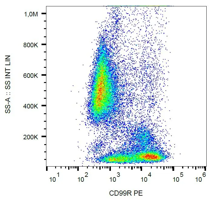 FACS analysis of human peripheral blood using GTX80016 CD99 antibody [MEM-131] (PE).