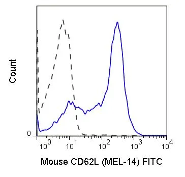 FACS analysis of C57Bl/6 splenocytes using GTX80035 CD62L antibody [MEL-14] (FITC).<br>Solid line : Primary antibody<br>Dashed line : FITC rat IgG2a isotype control<br>Antibody amount : 0.25 ?g
