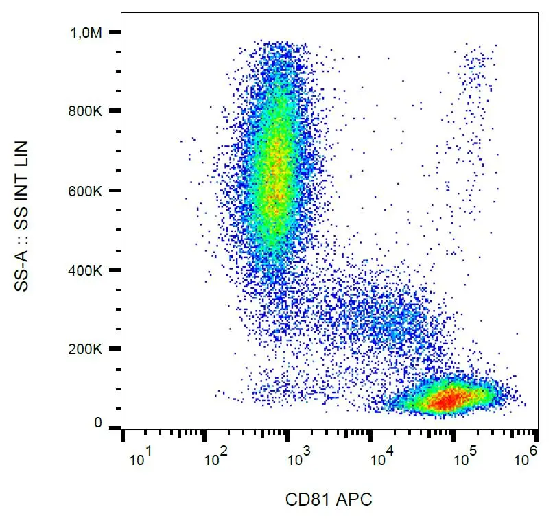 FACS analysis of human peripheral blood using GTX80041-07 CD81 antibody [M38] (APC).
