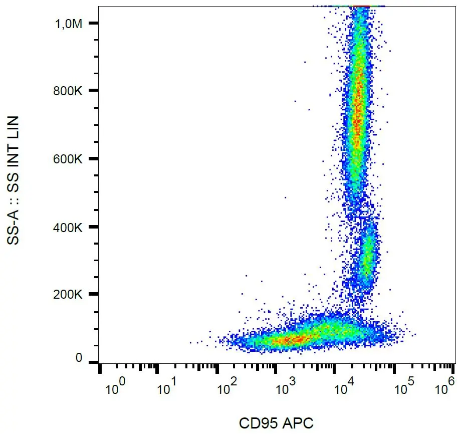 FACS analysis of human peripheral blood using GTX80053 Fas antibody [LT95] (APC).
