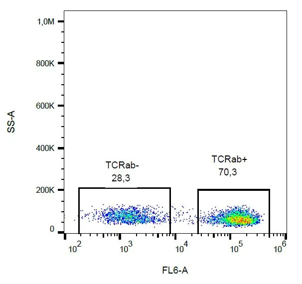 FACS analysis of human peripheral blood using GTX80082 TCR alpha + TCR beta antibody [IP26] (Biotin).