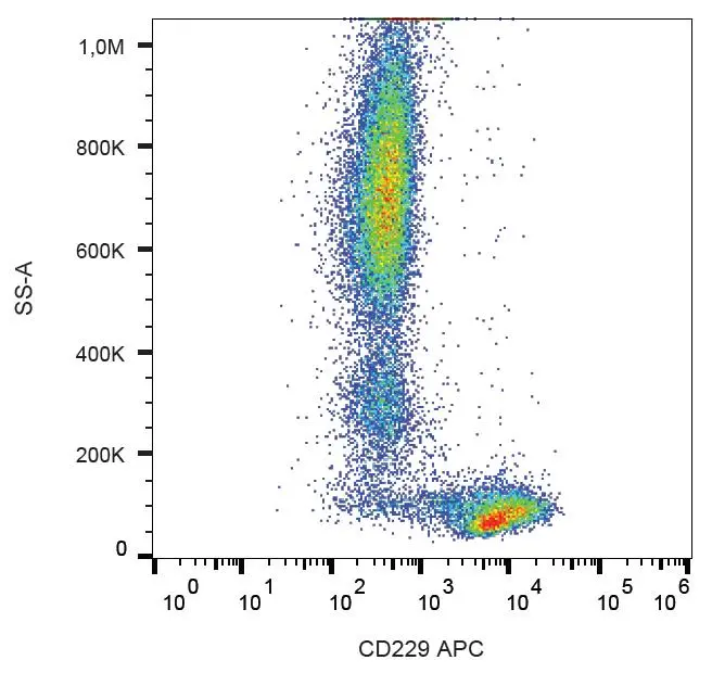 FACS analysis of human peripheral blood using GTX80097 CD229 antibody [HLy9.25] (APC).