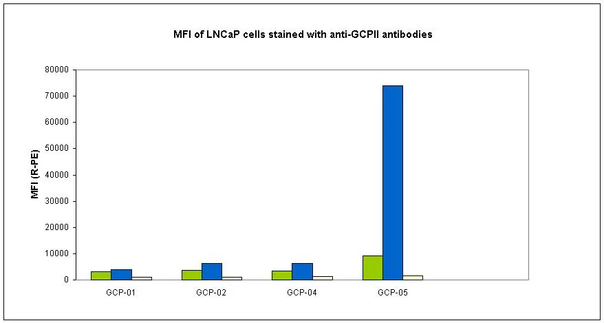 Flow cytometry analysis of GCPII (PSMA) using anti-GCPII (GCP-05) (GTX80149) and goat anti-mouse-PE on LNCaP cell line (positive,green) and HeLa cells (negative,blue).