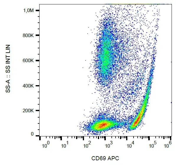 Surface staining of human peripheral blood using anti-CD69 antibody (clone FN50) after overnight activation of T cells by anti-CD3 (clone MEM-57).