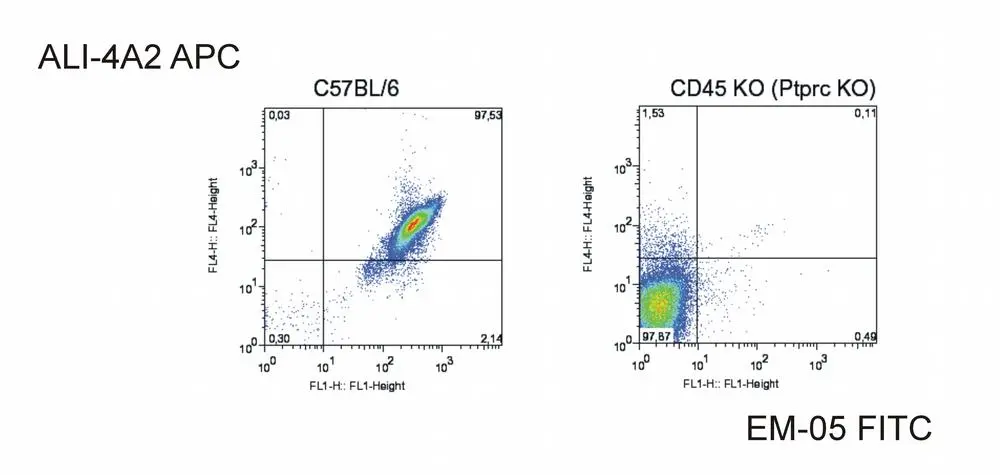 Surface staining of C57BL/6 cells and CD45 knock-out cells with anti-CD45 antibodies [EM-05] (GTX80169) and anti-CD45 [ALI-4A2].
