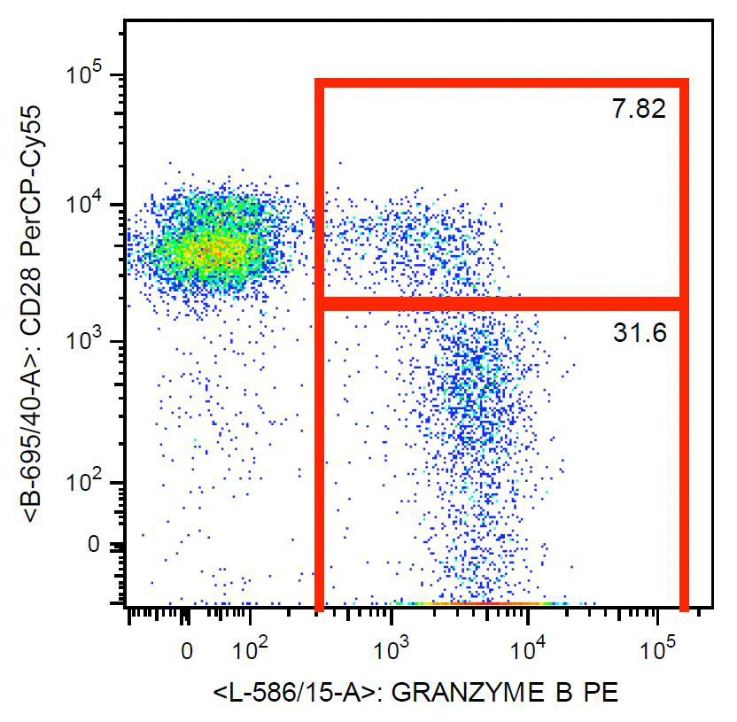 Flow cytometry analysis of human CD8+ peripheral blood cells with anti-human granzyme B: PE (GTX80192)