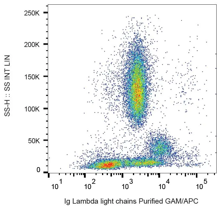 FACS analysis of human peripheral blood using GTX80278 Human lambda Light chain antibody [4C2].