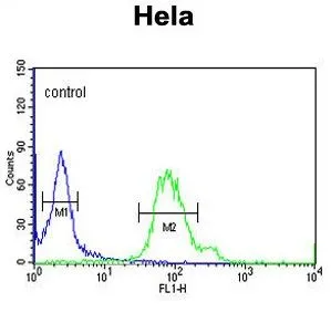 FACS analysis of HeLa cells using GTX80541 GABARAPL1 antibody. Green : primary antibody Blue : negative control