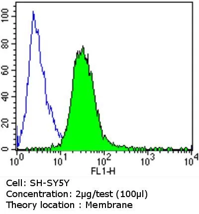FACS analysis of SH-SY5Y cells using GTX80682 PSD95 antibody [7E3-1B8] compared to an isotype control (blue). Dilution : 2 ug/test for 60 min at room temperature Fixation : 2% paraformaldehyde